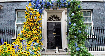 «Теперь Украина в шаге от победы»: в Англии резиденцию Джонсона украсили жёлто-синими цветами и подсчитали убытки – ВИДЕО