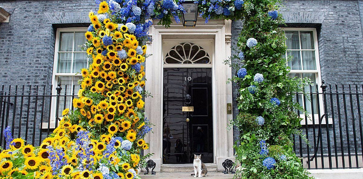 «Теперь Украина в шаге от победы»: в Англии резиденцию Джонсона украсили жёлто-синими цветами и подсчитали убытки – ВИДЕО