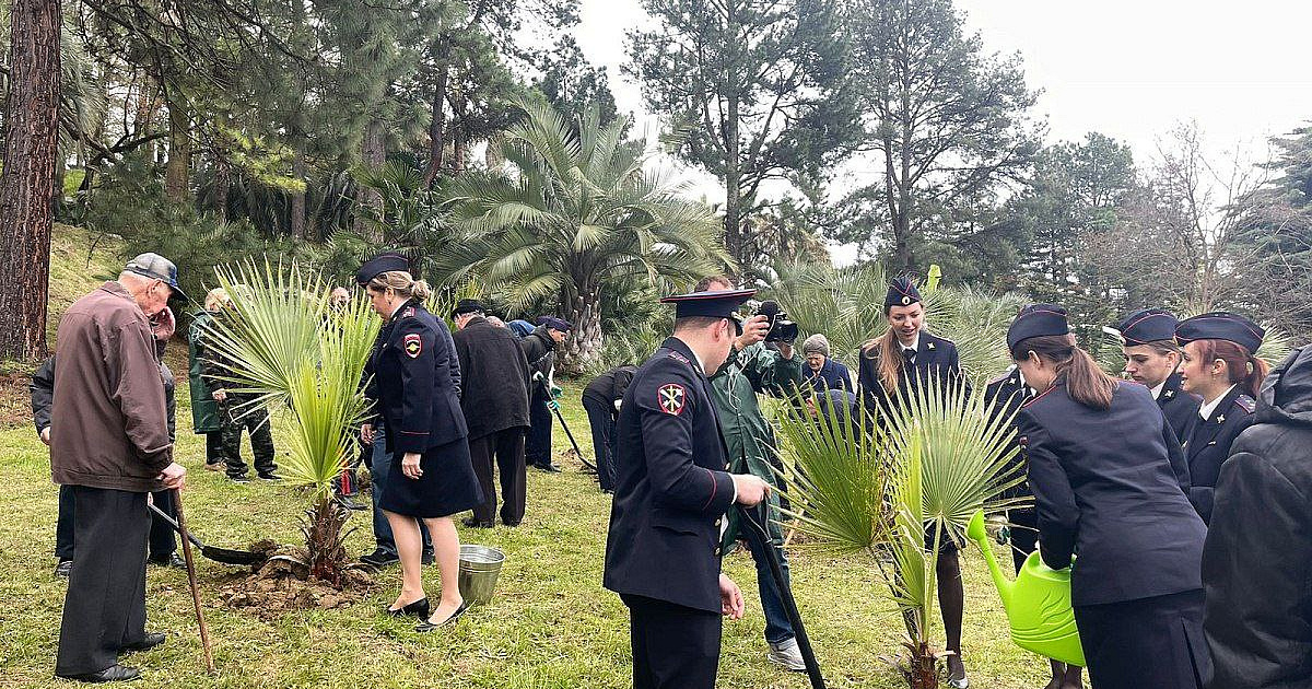 В национальном парке Сочи к 80-летию Победы высадили пальмы