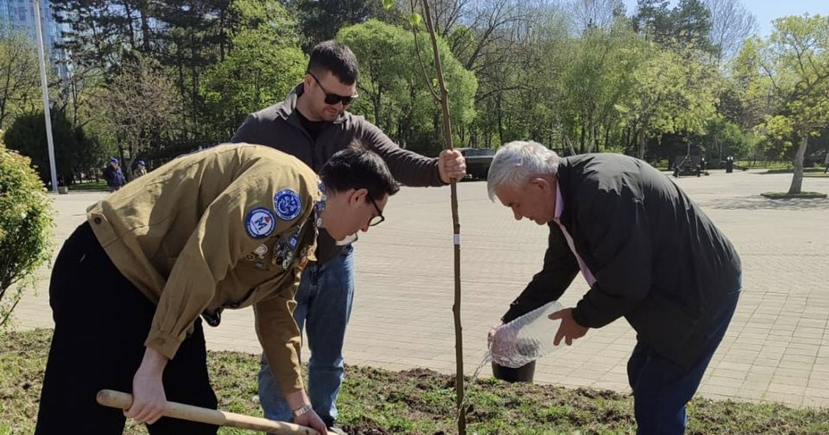 Именные деревья в память о героях СВО посадили в Краснодаре