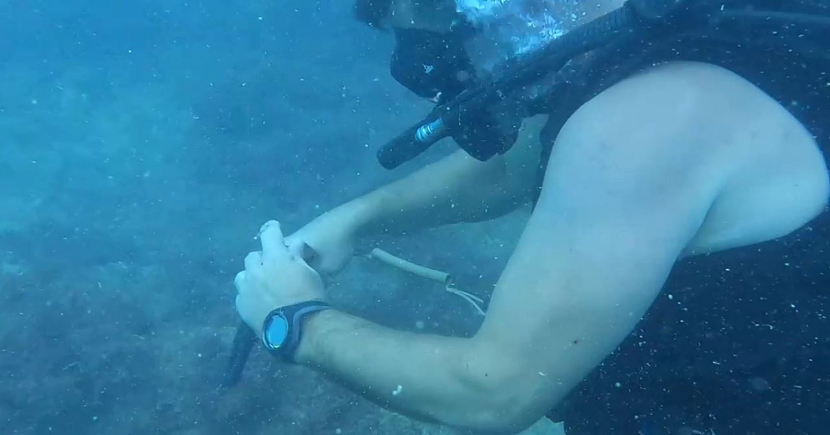 Росгвардейцы поразили все мишени под водой в акватории Черного моря
