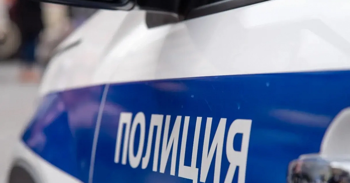 Появилось видео с места преступления в мясной лавке в Дагомысе 