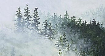 В Краснодарском крае 30 декабря местами ожидаются туман и гололёд, воздух прогреется до +11°