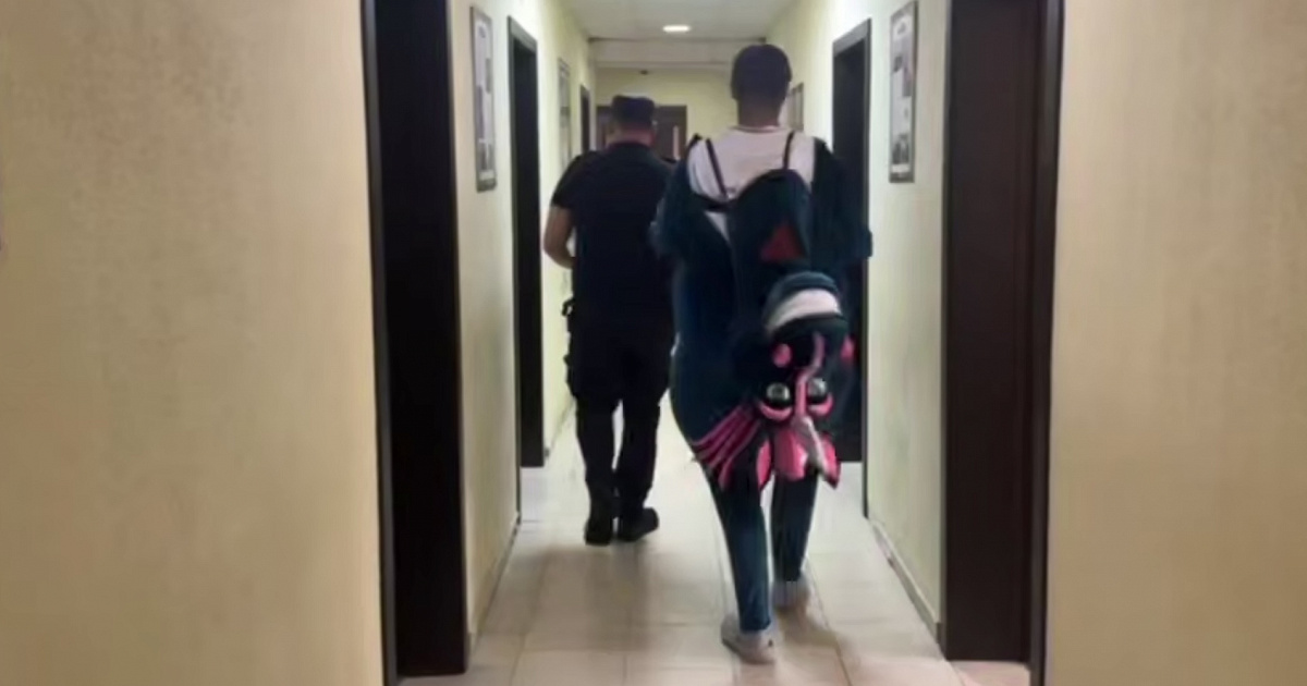 Самозанятых зебру и единорога задержали в Геленджике