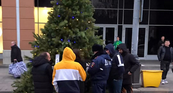 Новогоднему настроению - не быть: в Краснодаре полицейские оштрафовали ёлку