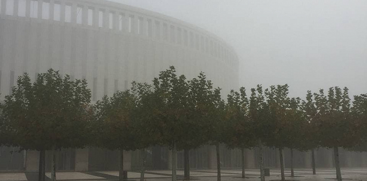 Туман в Краснодаре синоптики назвали радиационным
