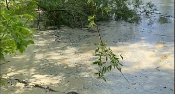 В мэрии Краснодара рассказали, чем грозит появившаяся на реке странная пена