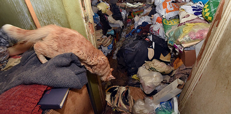 «Повелительница крыс не даёт жизни»: жители Краснодара годами живут с крысами и тараканами из-за страсти соседки к «собирательству» мусора