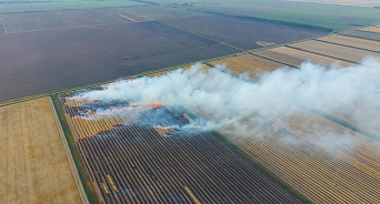 Смог и дым в Краснодаре: аграрии начали массово сжигать рисовую солому
