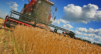 Экспорт сельхозпродуктов из Краснодарского края достиг двух миллиардов долларов 