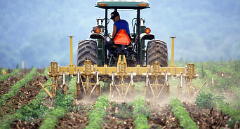 Кубанский фермер обманом получил семь миллионов рублей в качестве субсидий 
