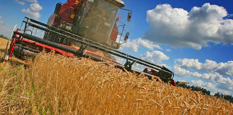 Экспорт сельхозпродуктов из Краснодарского края достиг двух миллиардов долларов 