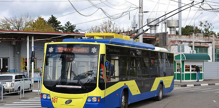 В Краснодаре мужчина затеял дебош в троллейбусе на тему ситуации на Украине