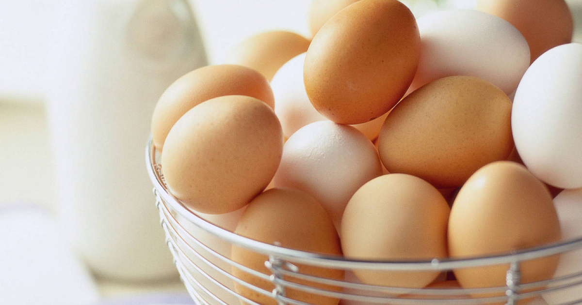 Российские производители договорились сдерживать цены на мясо птицы и яйца