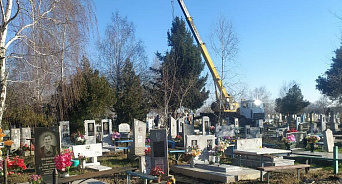 На Кубани ёлку с кладбища не будут устанавливать около роддома