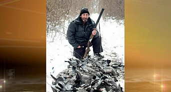 На Кубани браконьер убил около 200 голубей-вяхирей