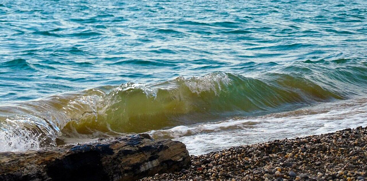 «Фекалии, трупные останки, химикаты и мины в Чёрном море!» Российский экоблогер рассказал о том, как подрыв Каховской ГЭС сказался на курортном регионе – ВИДЕО