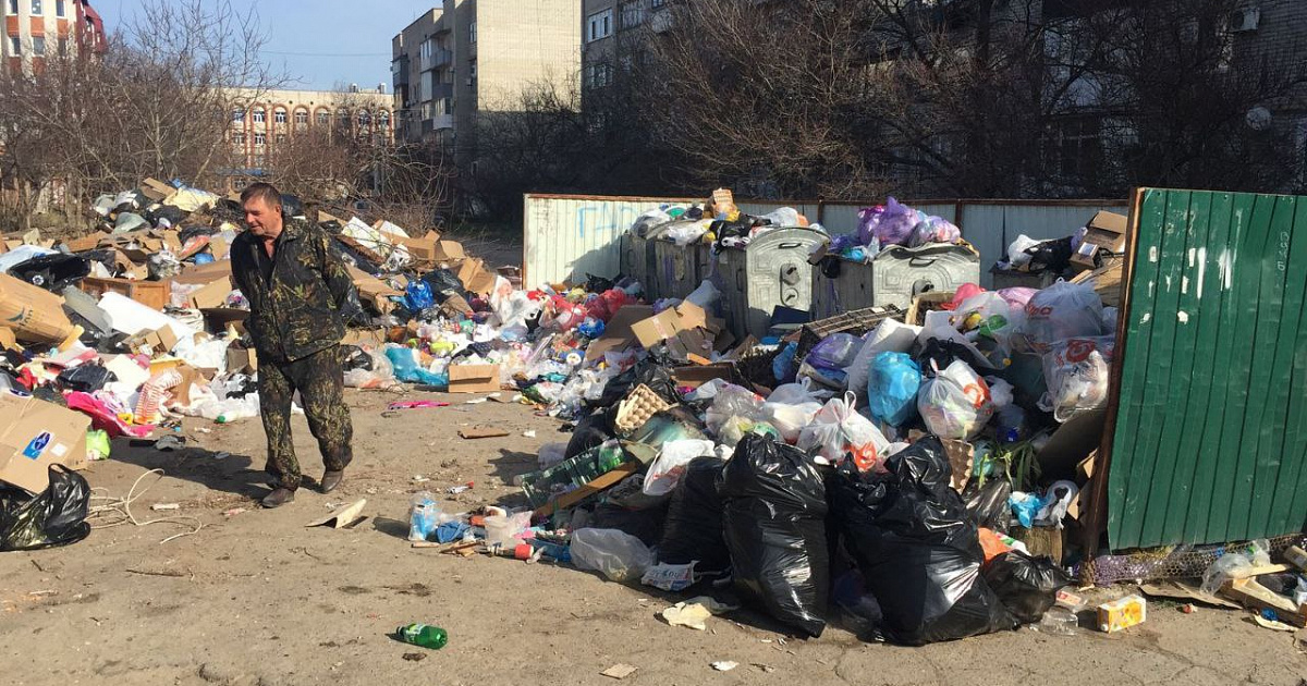 «От вонючих крыс стало душно жить»: власти края поставили санитарное состояние Ейска на грань ЧС