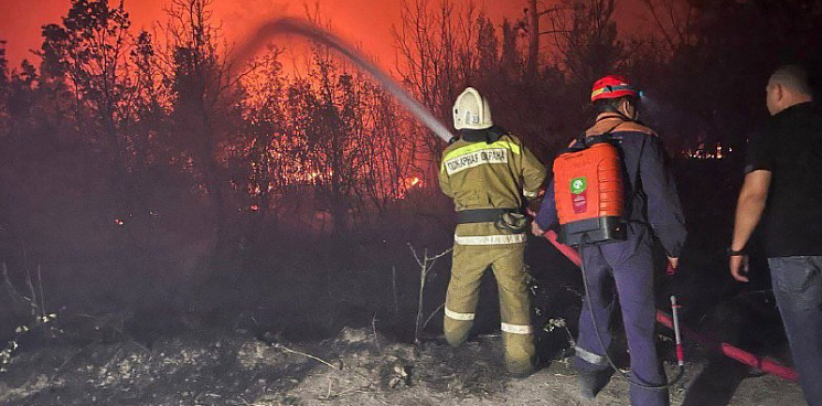 «Пламя приближается к жилым домам! Всё в огне!» В Геленджике в сосновом лесу разгорелся второй пожар за день - ВИДЕО