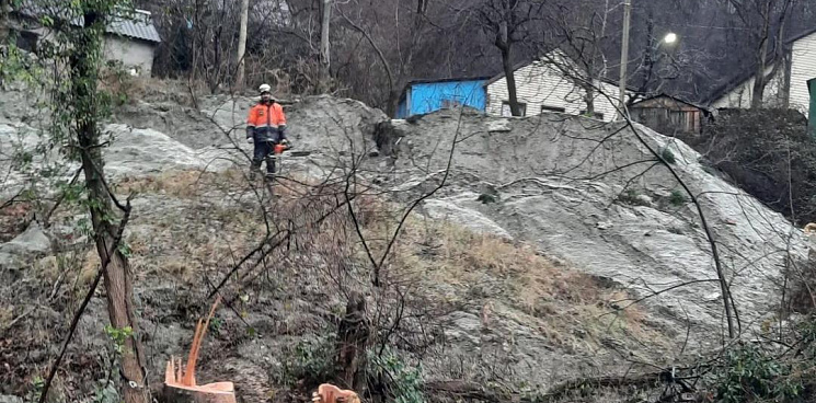 Перекрыт водосток и повреждены деревья: оползень сошел в Туапсинском районе