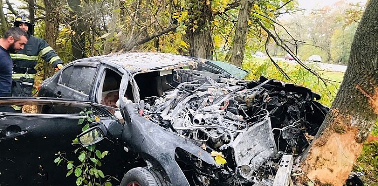 В Краснодарском крае водитель врезался в дерево и погиб