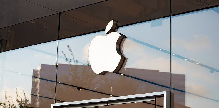 «Чёрная пятница!» В США чернокожие воры средь бела дня обнесли магазин Apple – ВИДЕО