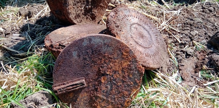На Кубани в ходе поисковых работ были обнаружены останки советских солдат