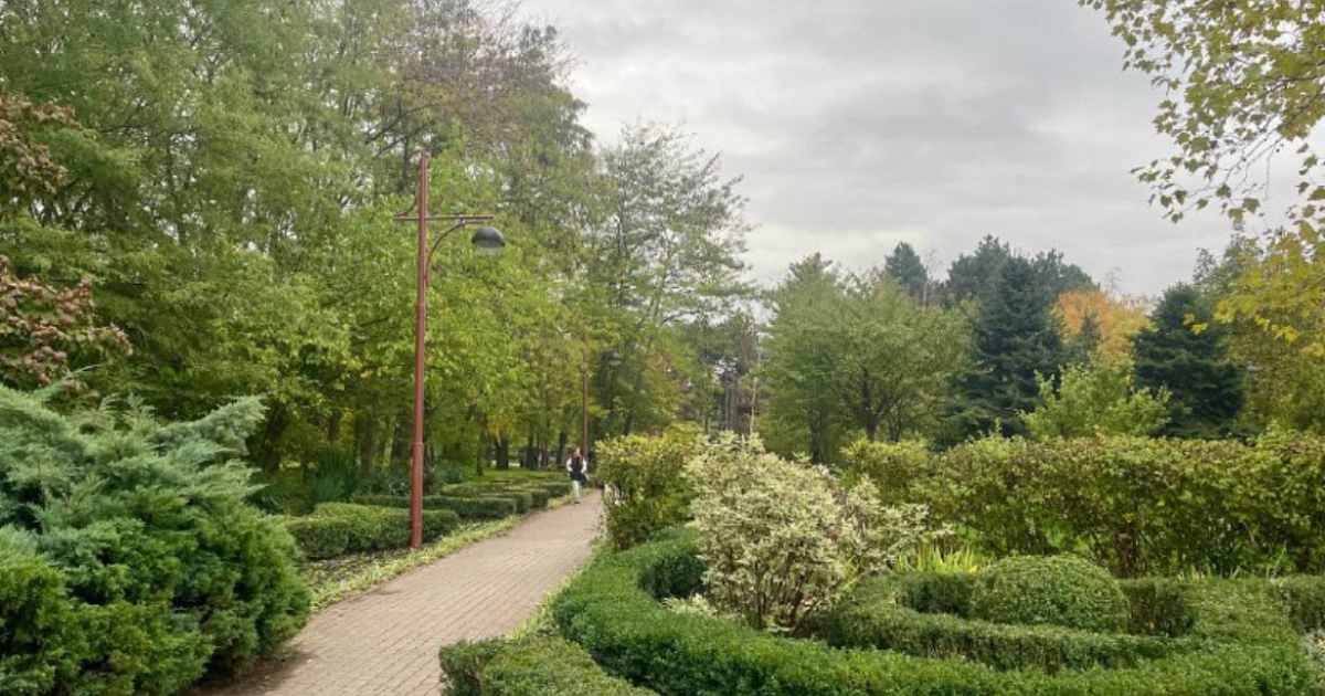 На Кубани 26 октября ожидается ливень с грозой, градом и сильным ветром