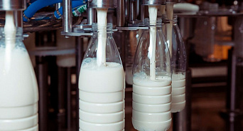 Информационная система обнаружила обман на производстве молока в Краснодаре