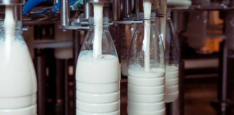 Информационная система обнаружила обман на производстве молока в Краснодаре