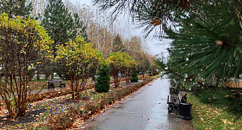 В Краснодарском крае 11 декабря пройдут дожди с мокрым снегом, днём воздух прогреется до 17°