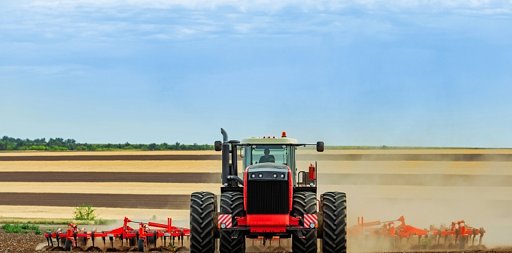 «Санкции работают!» На Кубани вырос объём производства сельхозпродукции в два раза за последние годы