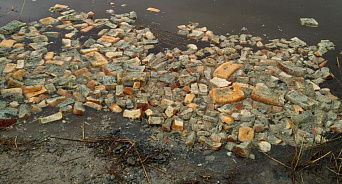 «Не добрые души, а отравители!» В Новороссийске неизвестные завалили озеро хлебом для пернатых – вода покрылась плесенью