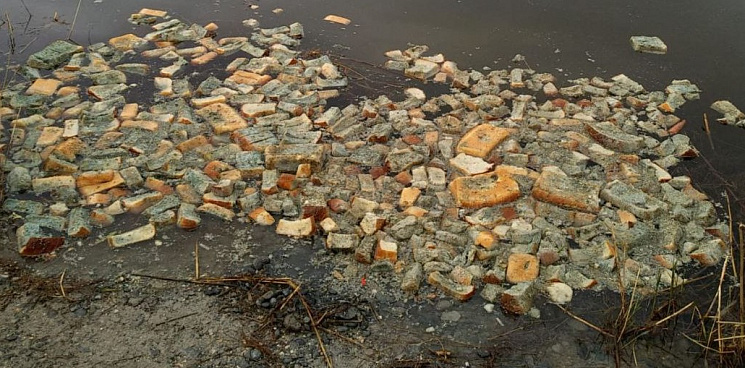 «Не добрые души, а отравители!» В Новороссийске неизвестные завалили озеро хлебом для пернатых – вода покрылась плесенью