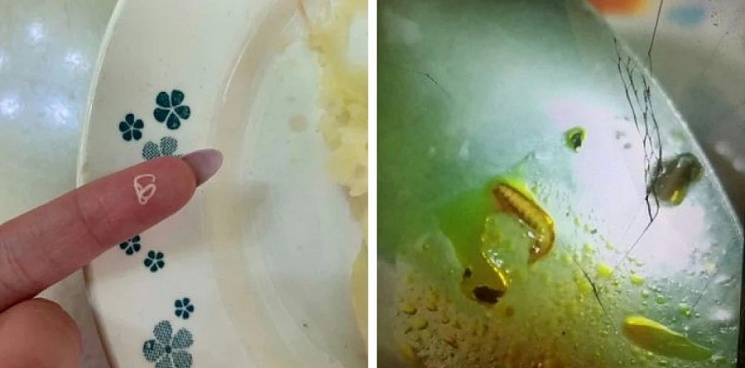 В лагере «Жемчужина России» в Анапе дети жалуются на червей в еде