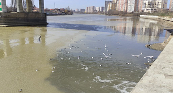 «Уважаемые жители и гости города, не купайтесь в реке Кубань!» Краснодарец показал, куда в кубанской столице сбрасываются нечистоты – ВИДЕО