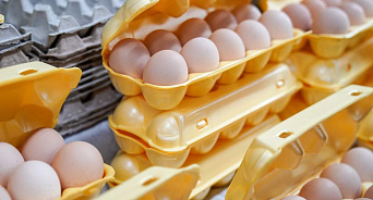 «Удар по яйцам»: Минсельхоз пытается остановить резкий рост цен на продукт из потребительской корзины россиян 