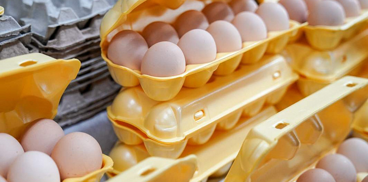 «Удар по яйцам»: Минсельхоз пытается остановить резкий рост цен на продукт из потребительской корзины россиян 