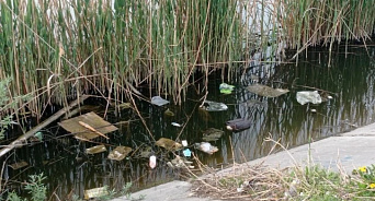 Жители Краснодара бьют тревогу: на Карасунах куча мусора, бомжи и наркоманы
