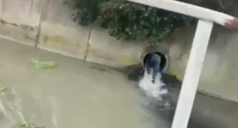 В Сириусе наркодилер убежал от полиции через сливной канал 