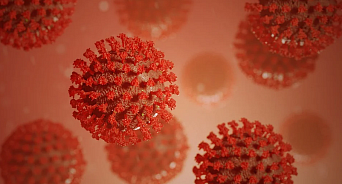 Рост продолжается: коронавирусом на Кубани заразились 262 человека