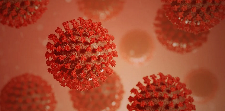 Рост продолжается: коронавирусом на Кубани заразились 262 человека