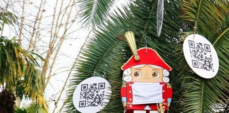 В Сочи появилась агитационная пальма с QR-кодом, исполняющая желания
