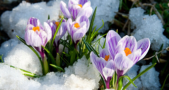 В Краснодарском крае 14 марта ждут похолодание, снег и гололедицу