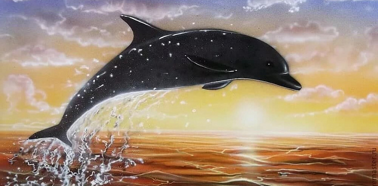 Около Новороссийска на пляже в Мысхако море на берег вынесло труп дельфина