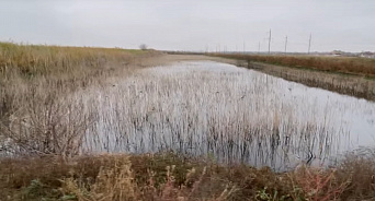 «Экологическая катастрофа»: в пригороде Краснодара появилось зловонное озеро биологических отходов 