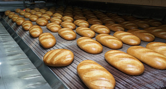 «Хлеб становится роскошью»: на Кубани из-за увеличения стоимости дизеля подорожало зерно