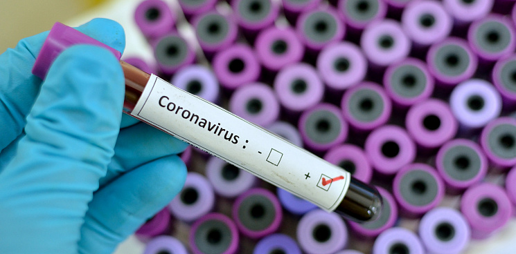 В Краснодарском крае 40 человек умерло от коронавируса за сутки