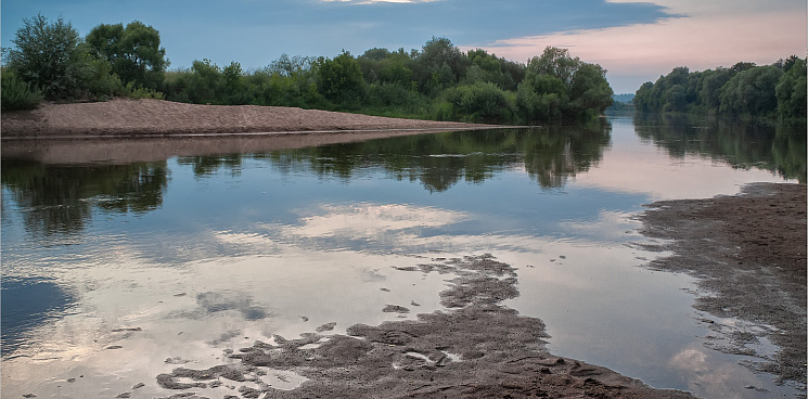 На Кубани из-за перекрытого русла обмелела река – жители подозревают частное лицо