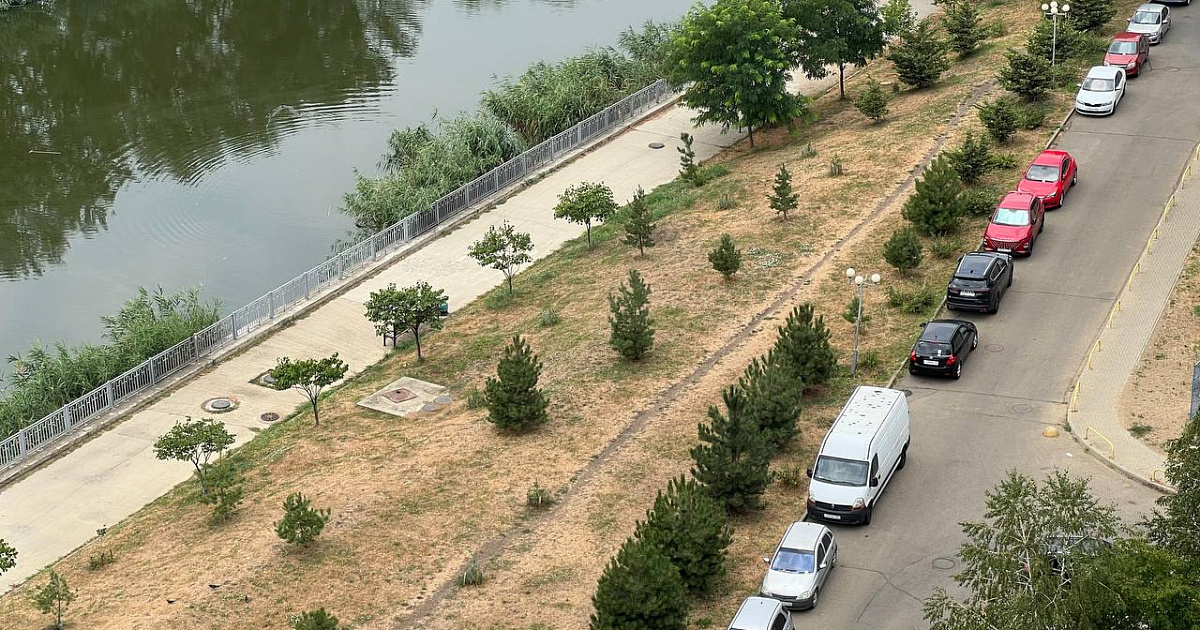 Жители Краснодара выступили против установки мусорки на зеленой зоне набережной 